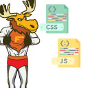 Easy Custom CSS & JS